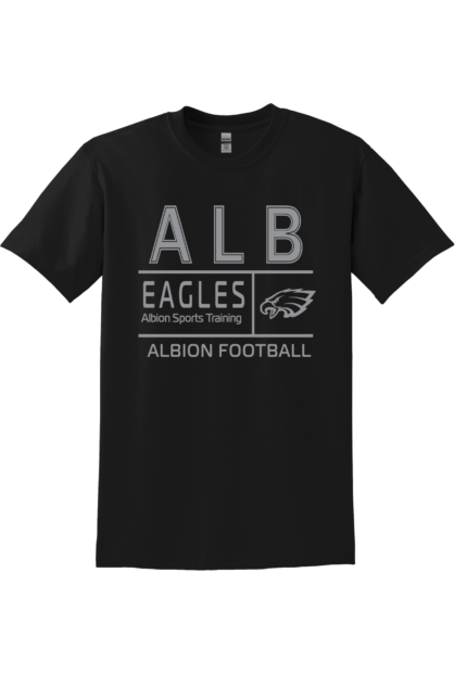 ALB training football tee